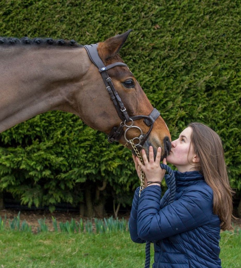 Daisy Williams, Koning Sport Horses