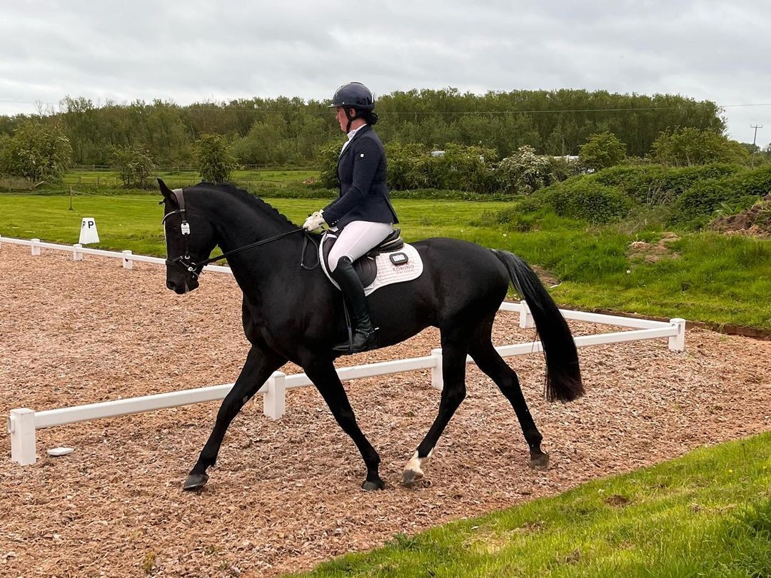 more great results at dressage
