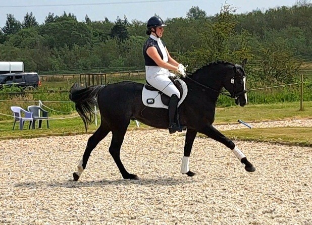 North and East Regional Dressage Championships