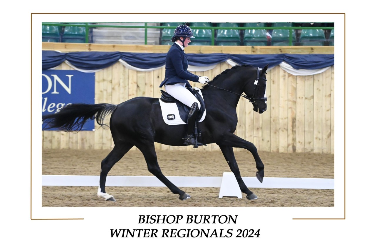 Great results at the Northern Dressage Regionals