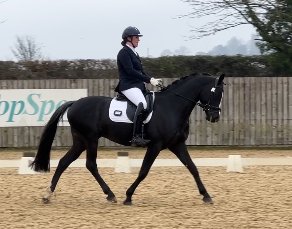 Great results at Elementary dressage