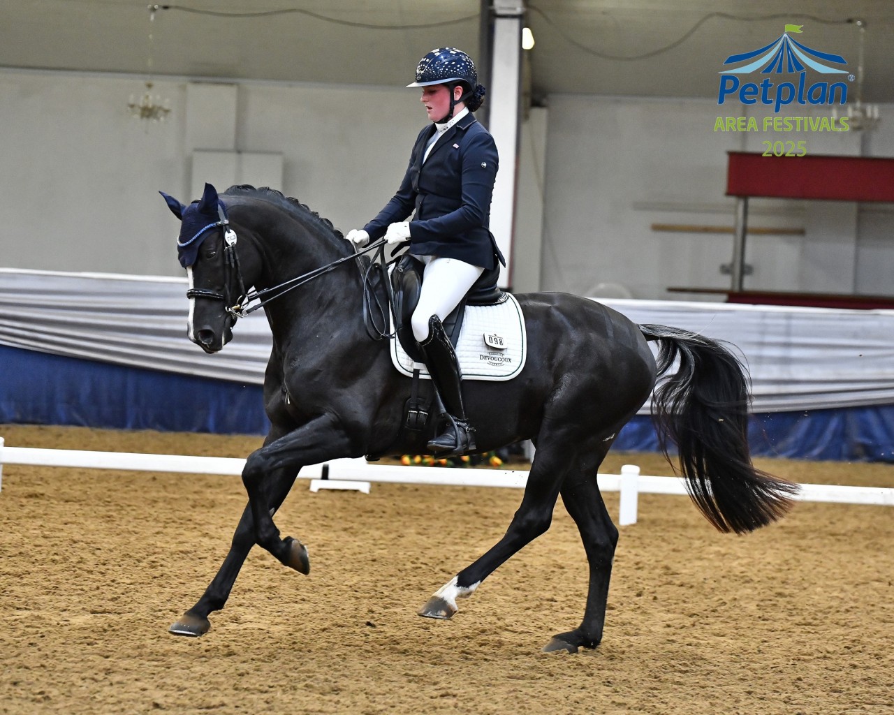 Pet Plan Area Dressage Championships