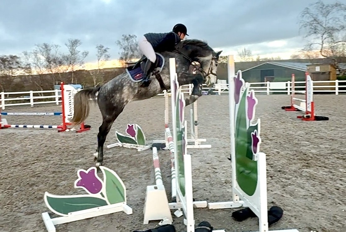 Cassionora GF is really impressing us