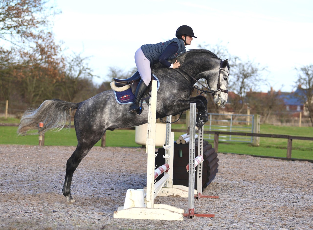 Second Arena hire for Cassionora GF