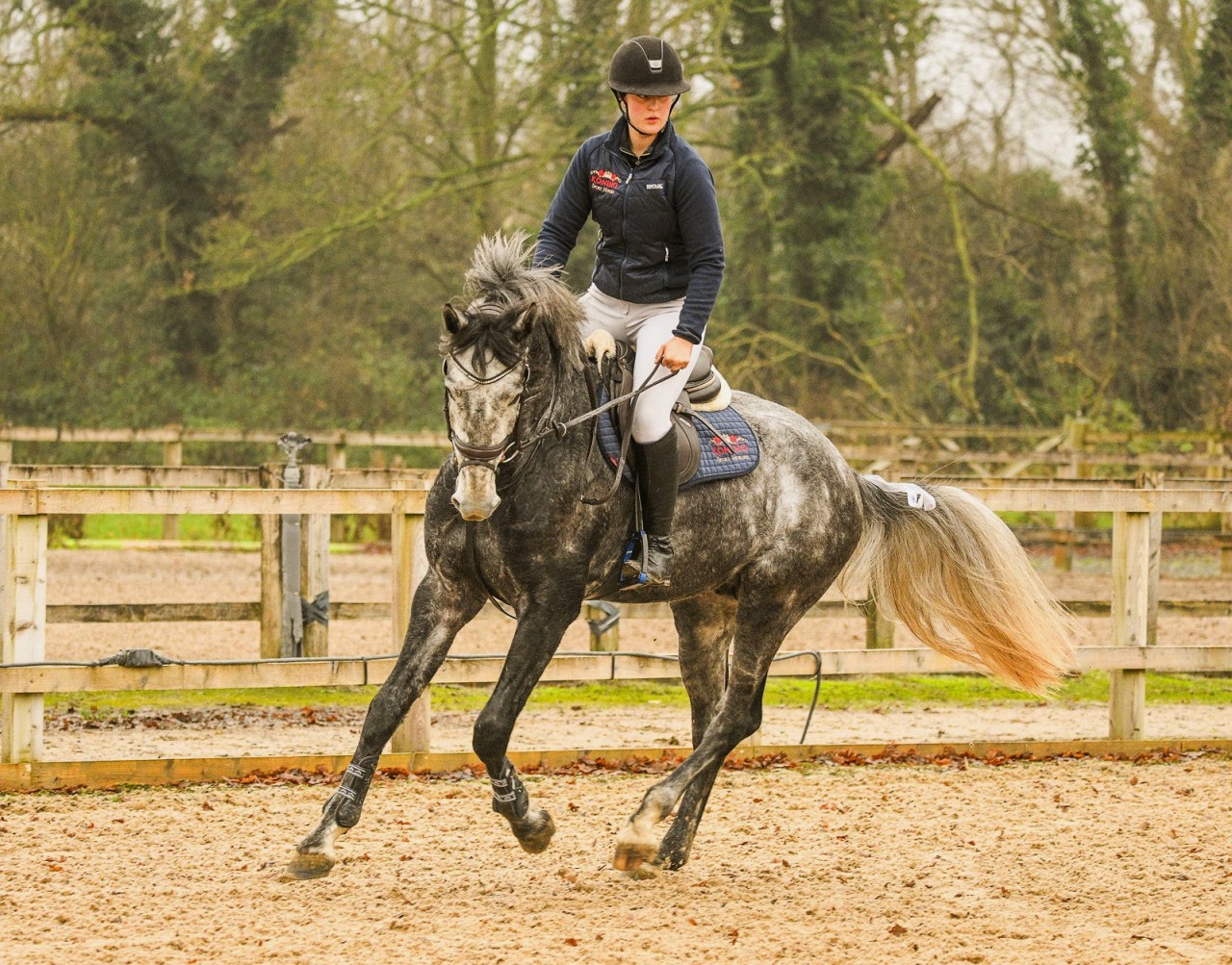 Last ride for 2025 for the cool Cassionora GF