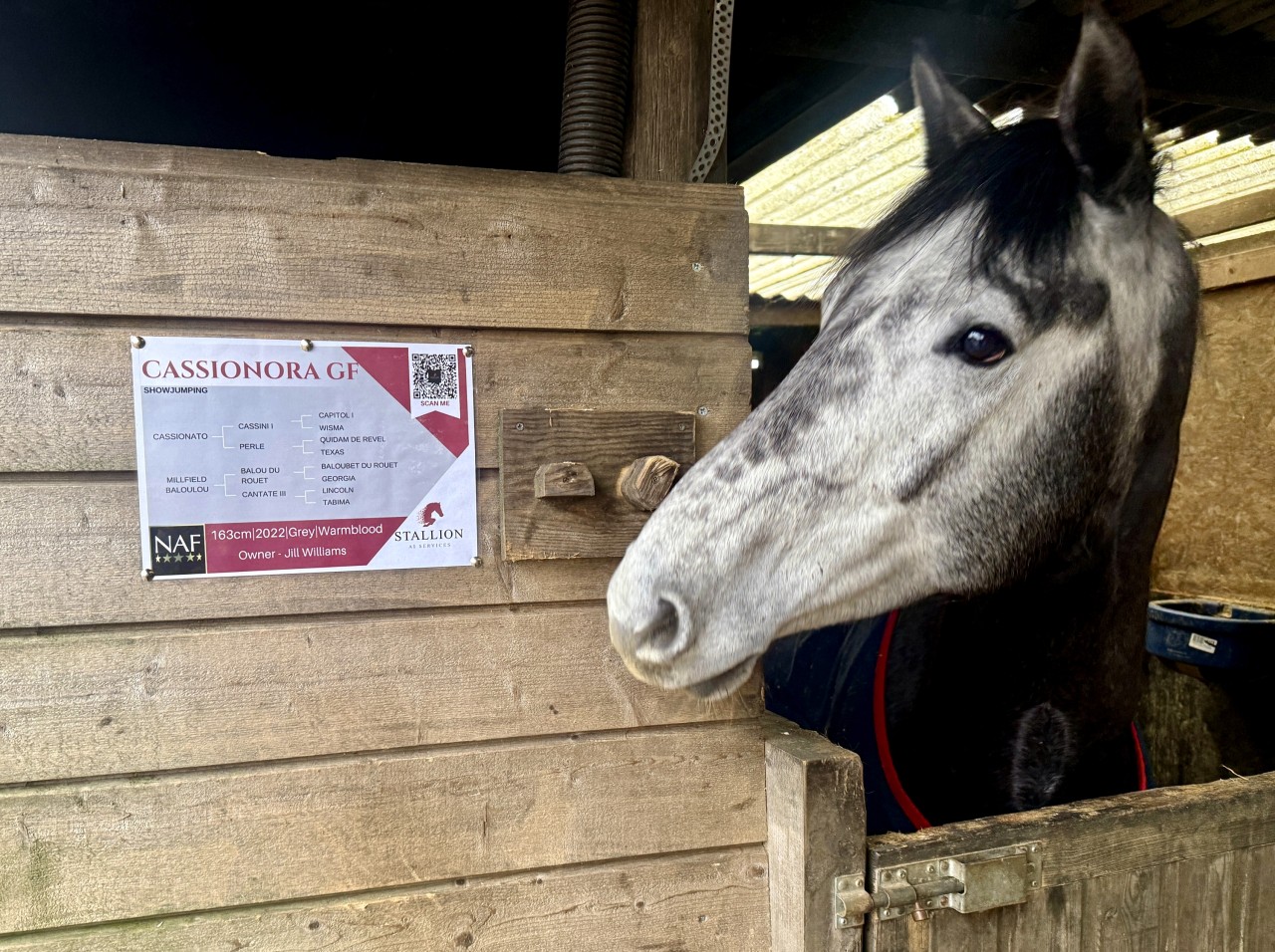 Cassionora GF returns from 