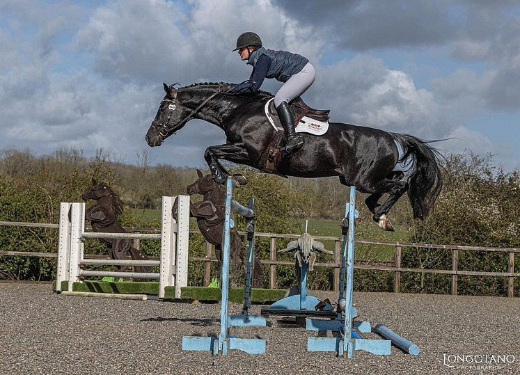 Berti-Stallion-show-March-2026