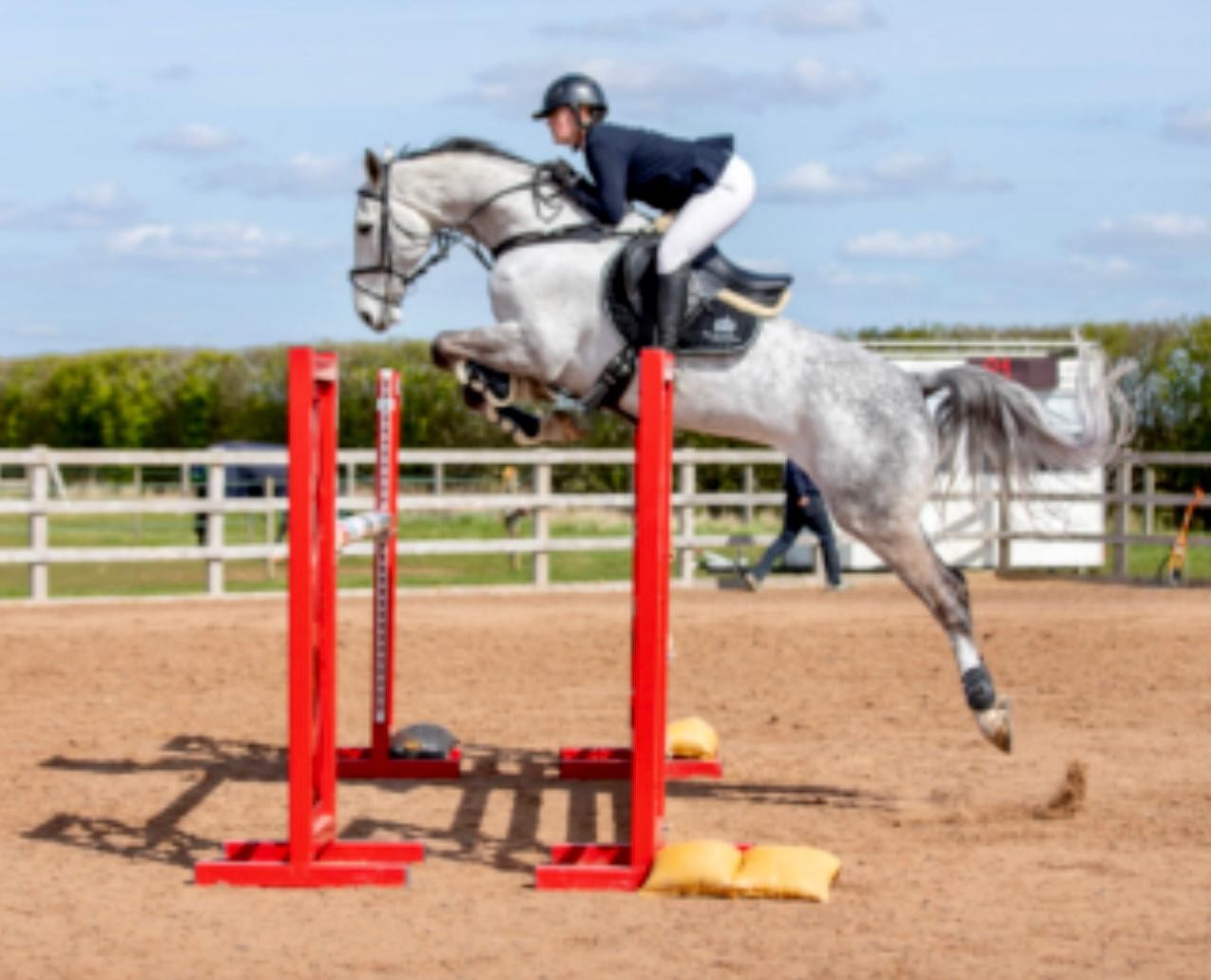 SUPER RESULTS FOR FIRS AND FEATHERS HORSES UNDER DAISY WILLIAMS